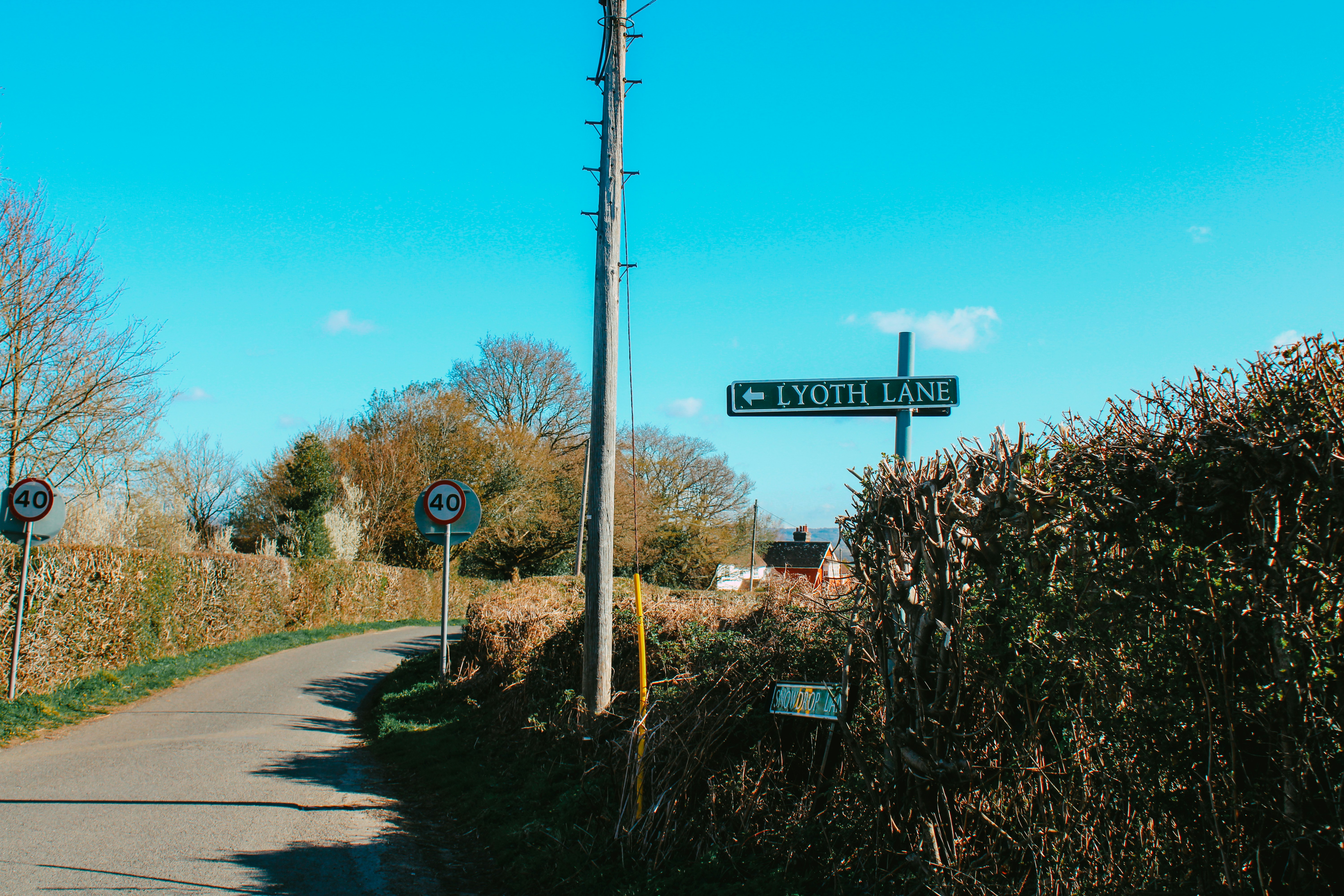 Photo by lottiegriffiths