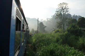 A sleek whoosh train gliding through lush emerald tea plantations under a bright blue sky.