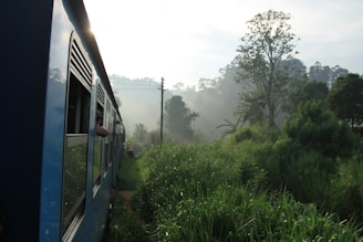 A passenger train winding through a lush jungle at sunrise, symbolizing the journey beyond the wilderness.