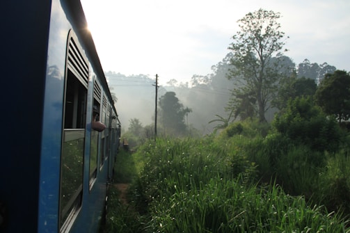 A passenger train winding through a lush jungle at sunrise, symbolizing the journey beyond the wilderness.