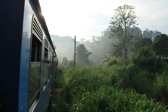 A sleek whoosh train gliding through lush emerald tea plantations under a bright blue sky.