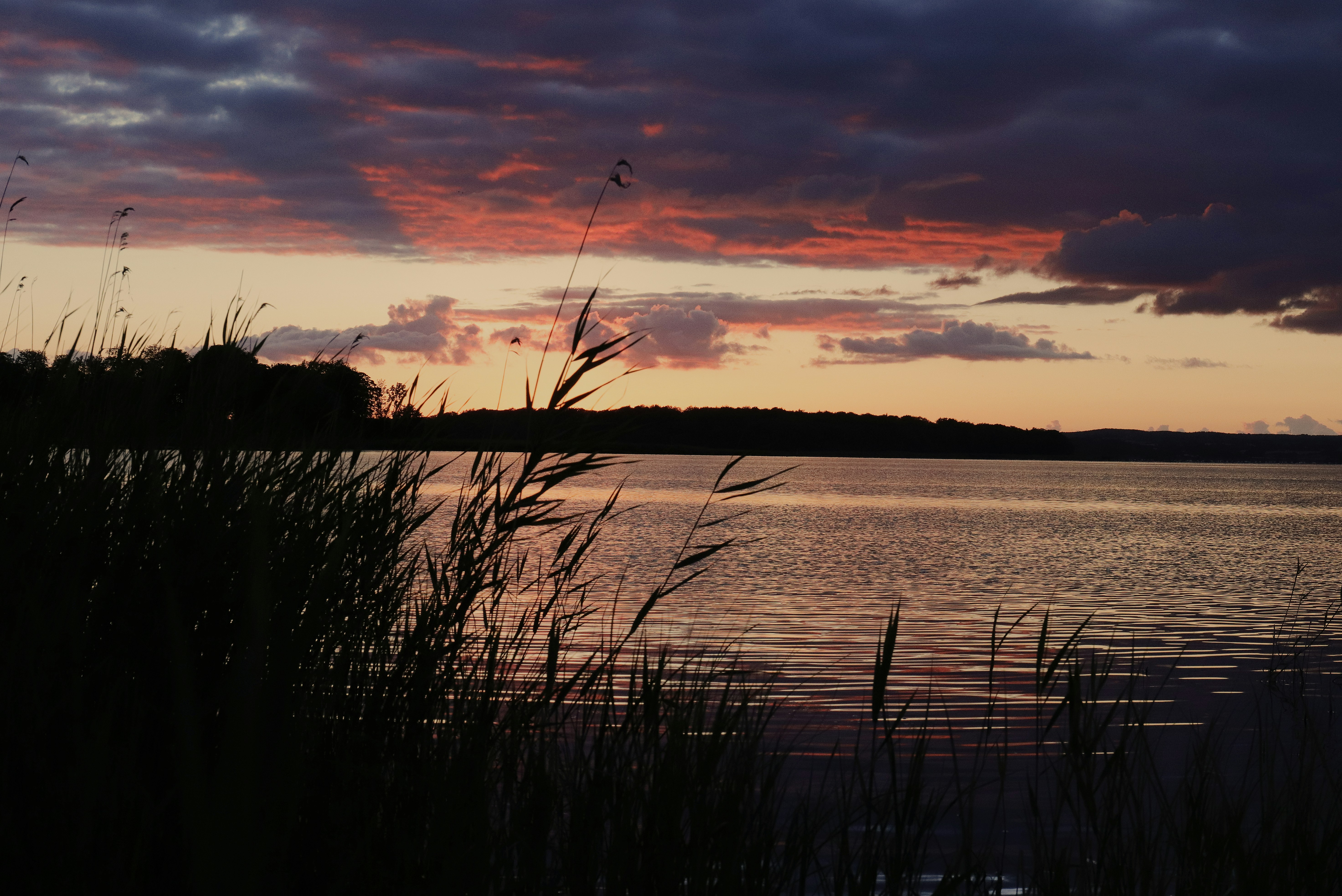 Photo by henrik_hansen