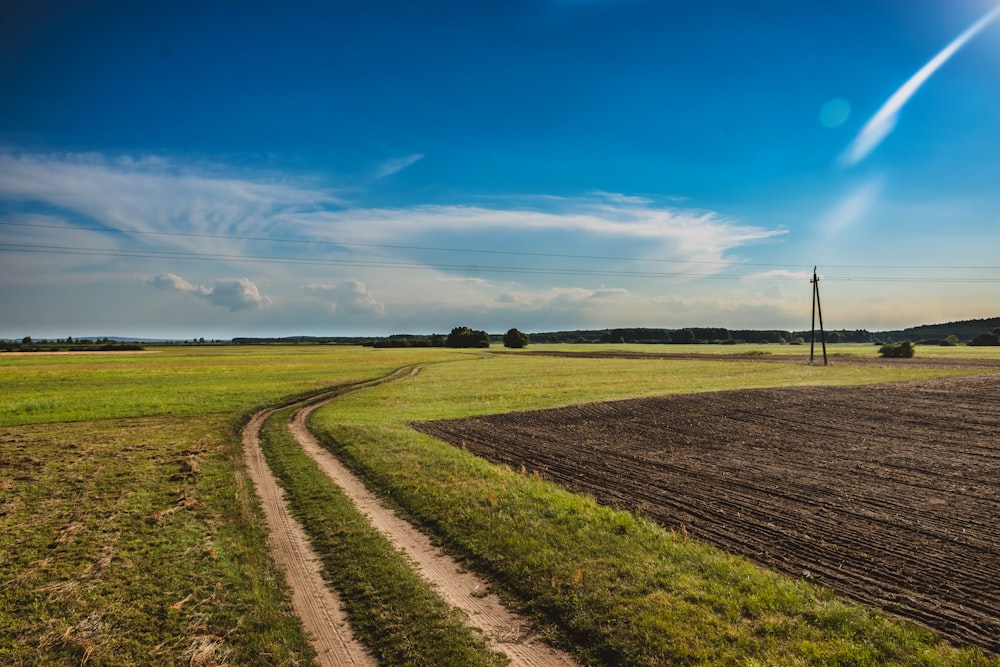 green grass field under blue sky during daytime