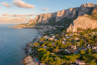 green trees on brown mountain near body of water during daytime