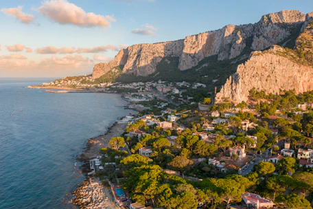 green trees on brown mountain near body of water during daytime