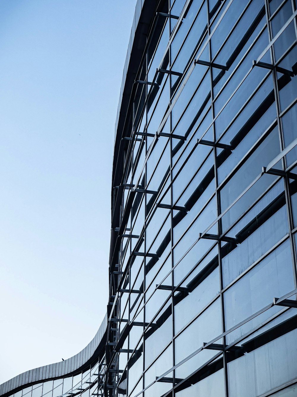 white and black glass building