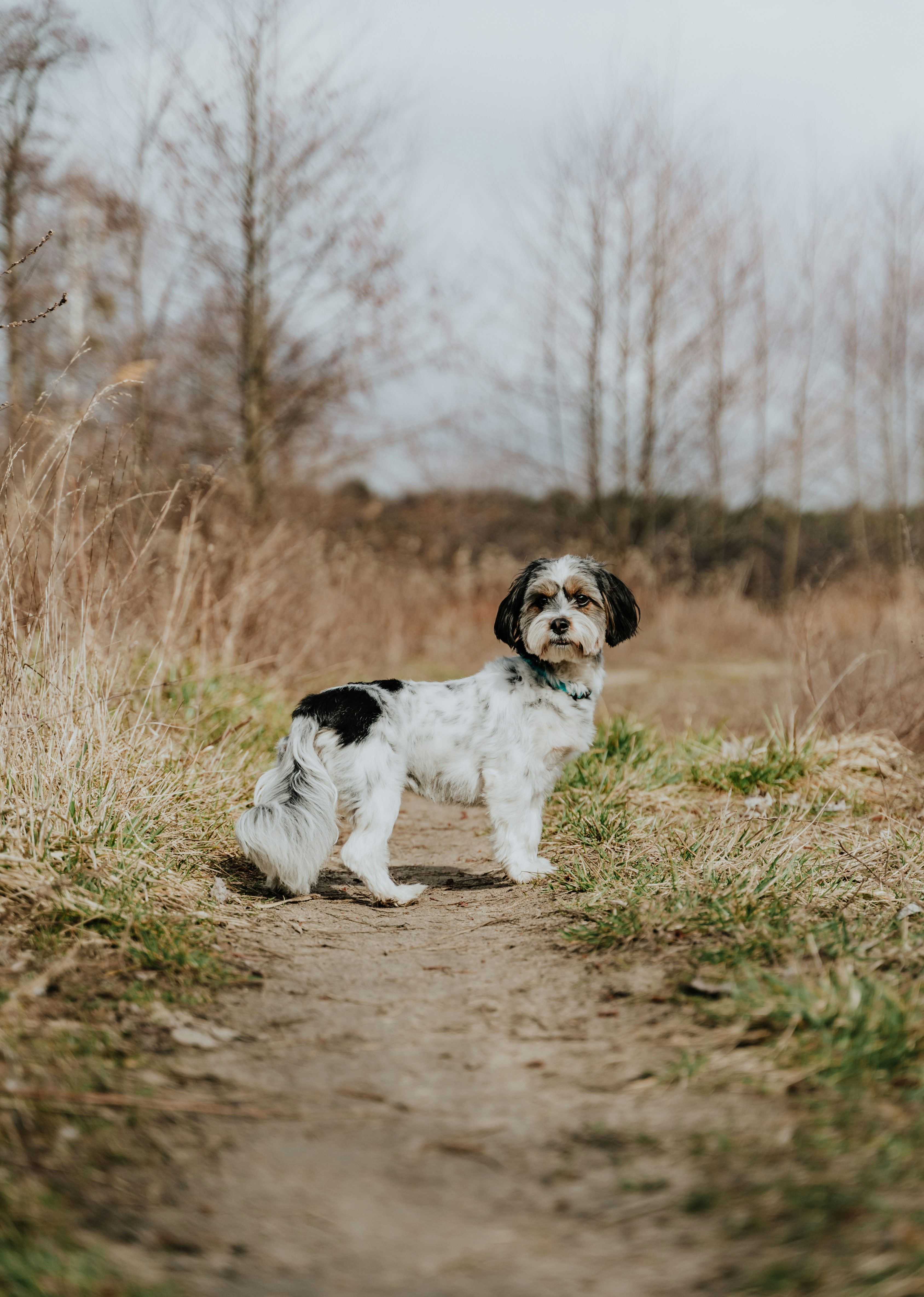 Photo by barczakshoots