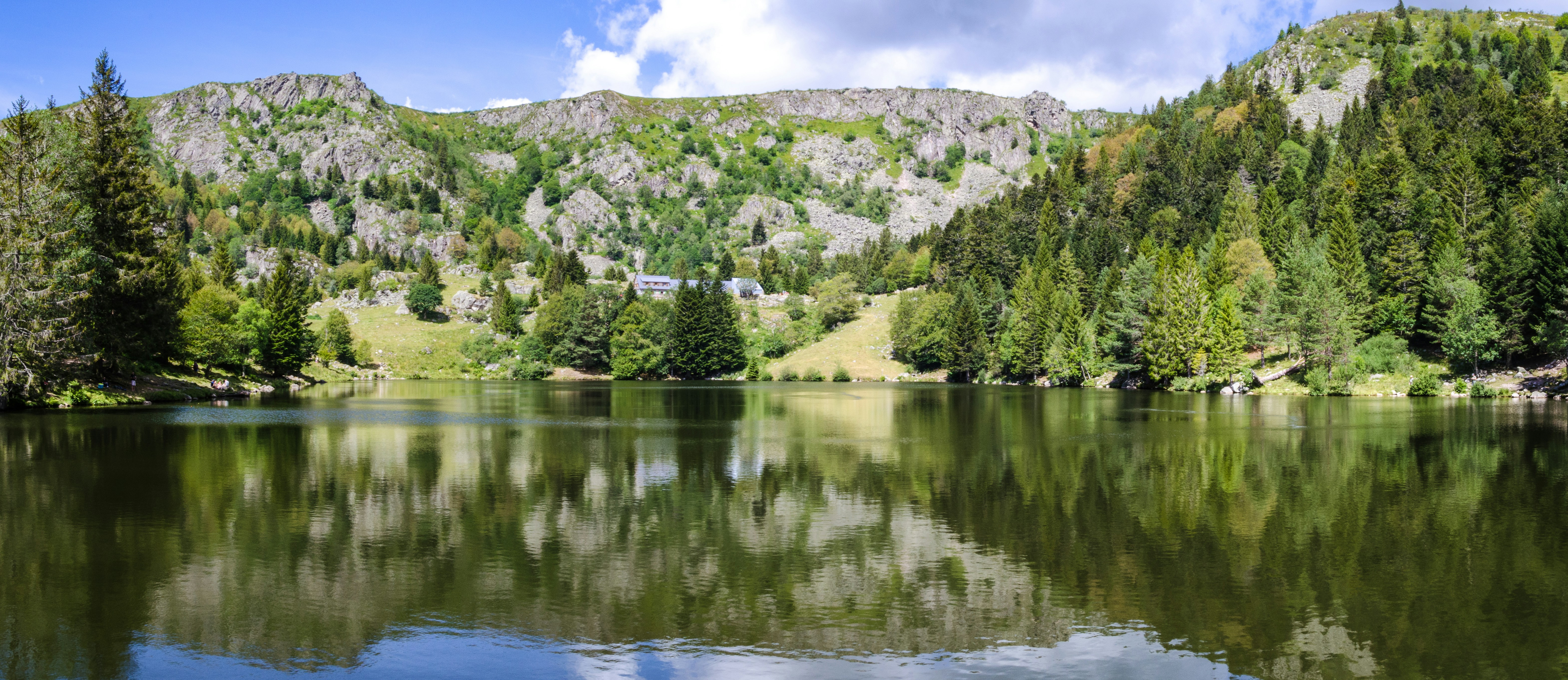 green trees near lake under blue sky during daytime