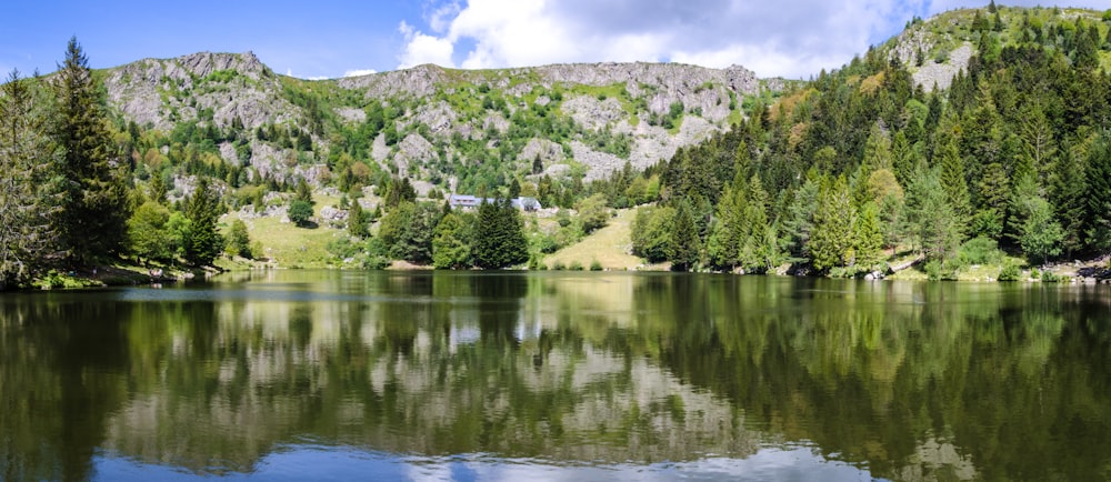 alberi verdi vicino al lago sotto il cielo blu durante il giorno