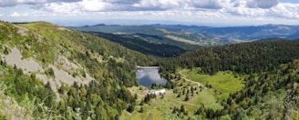 aerial view of green trees and mountains during daytime