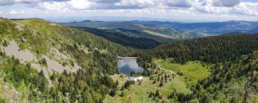 Vista aérea de árboles verdes y montañas durante el día