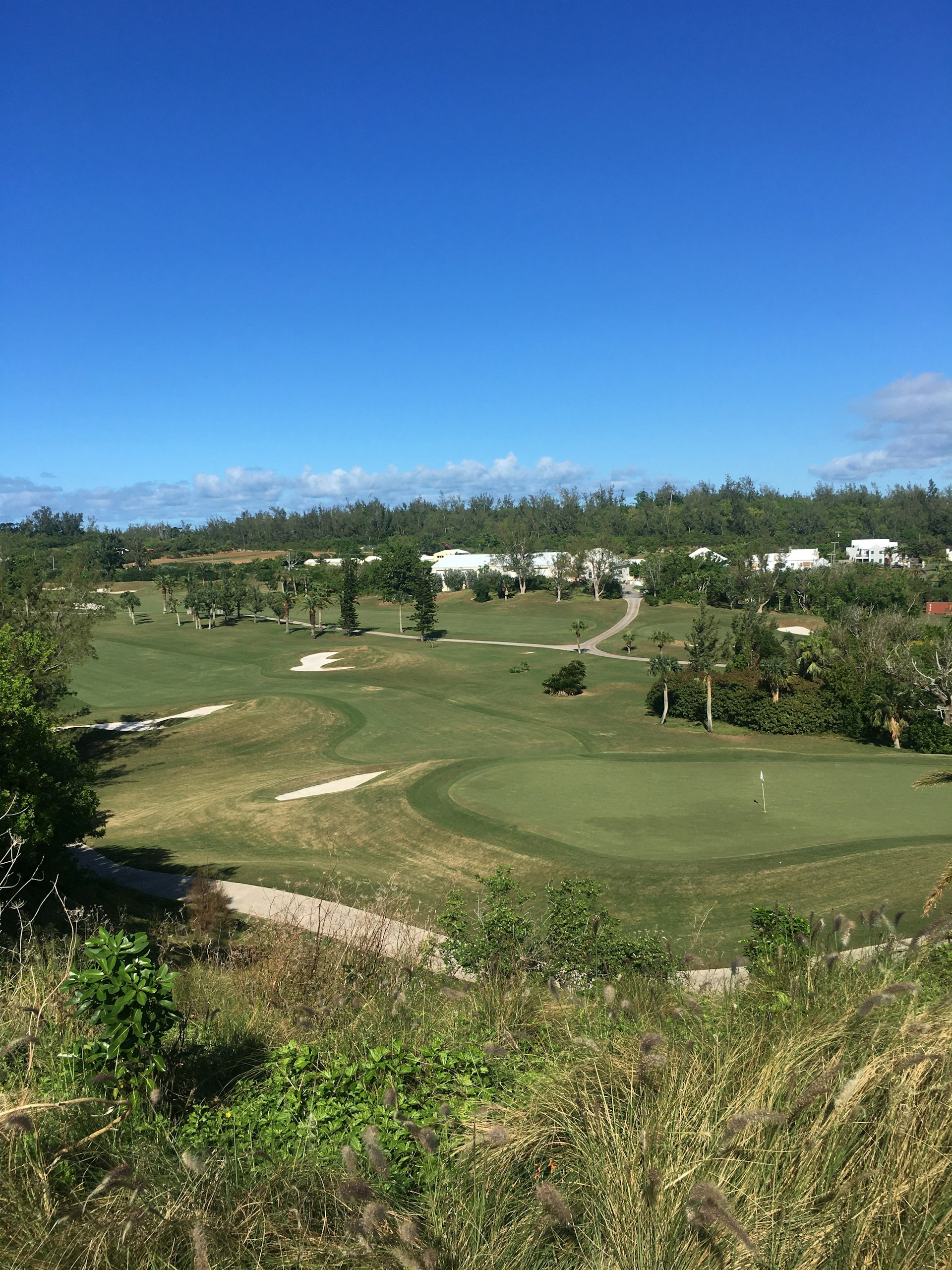 green grass field under blue sky during daytime