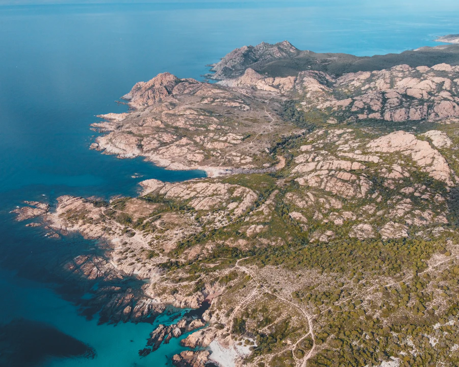 Corse
