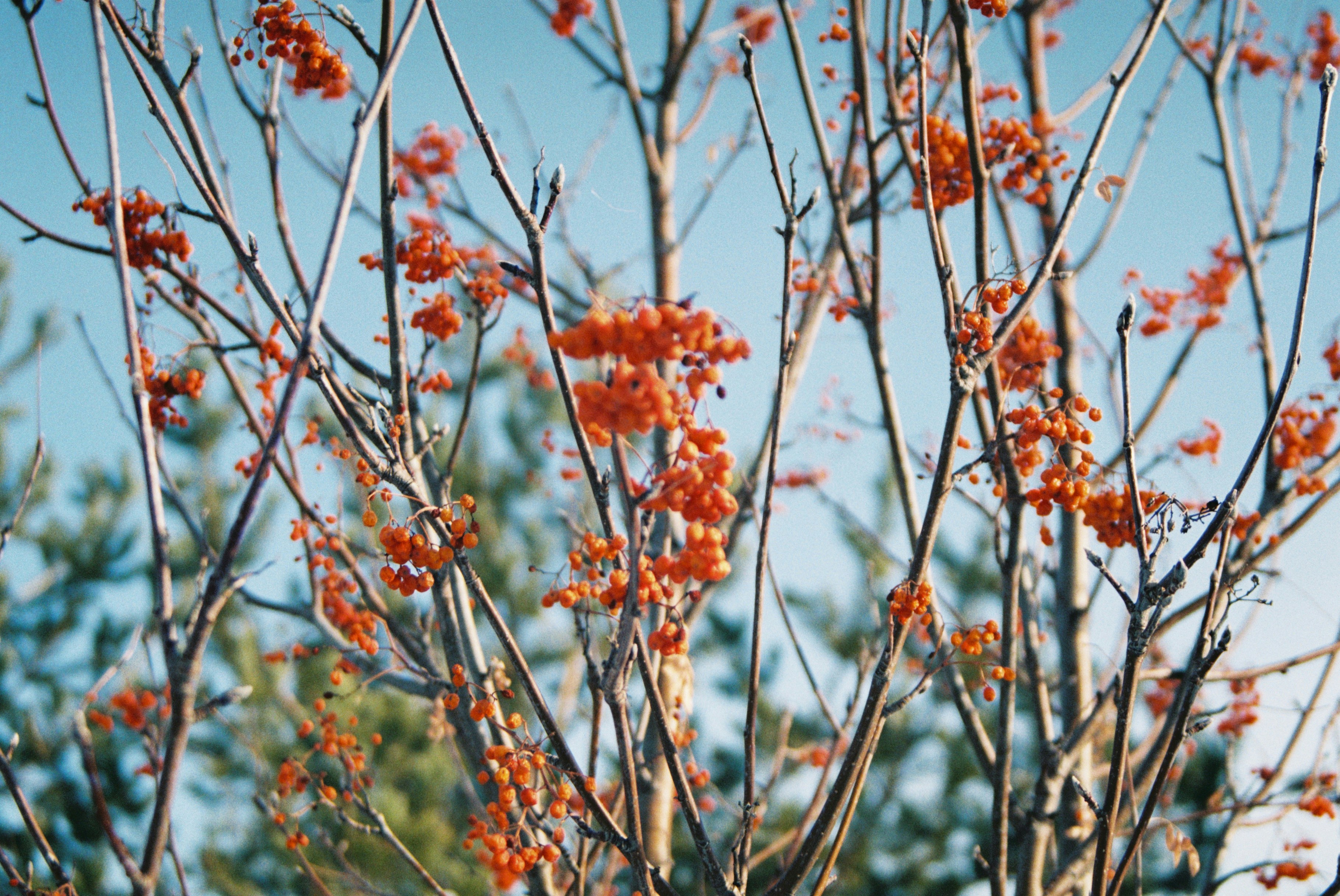 Photo by amelune