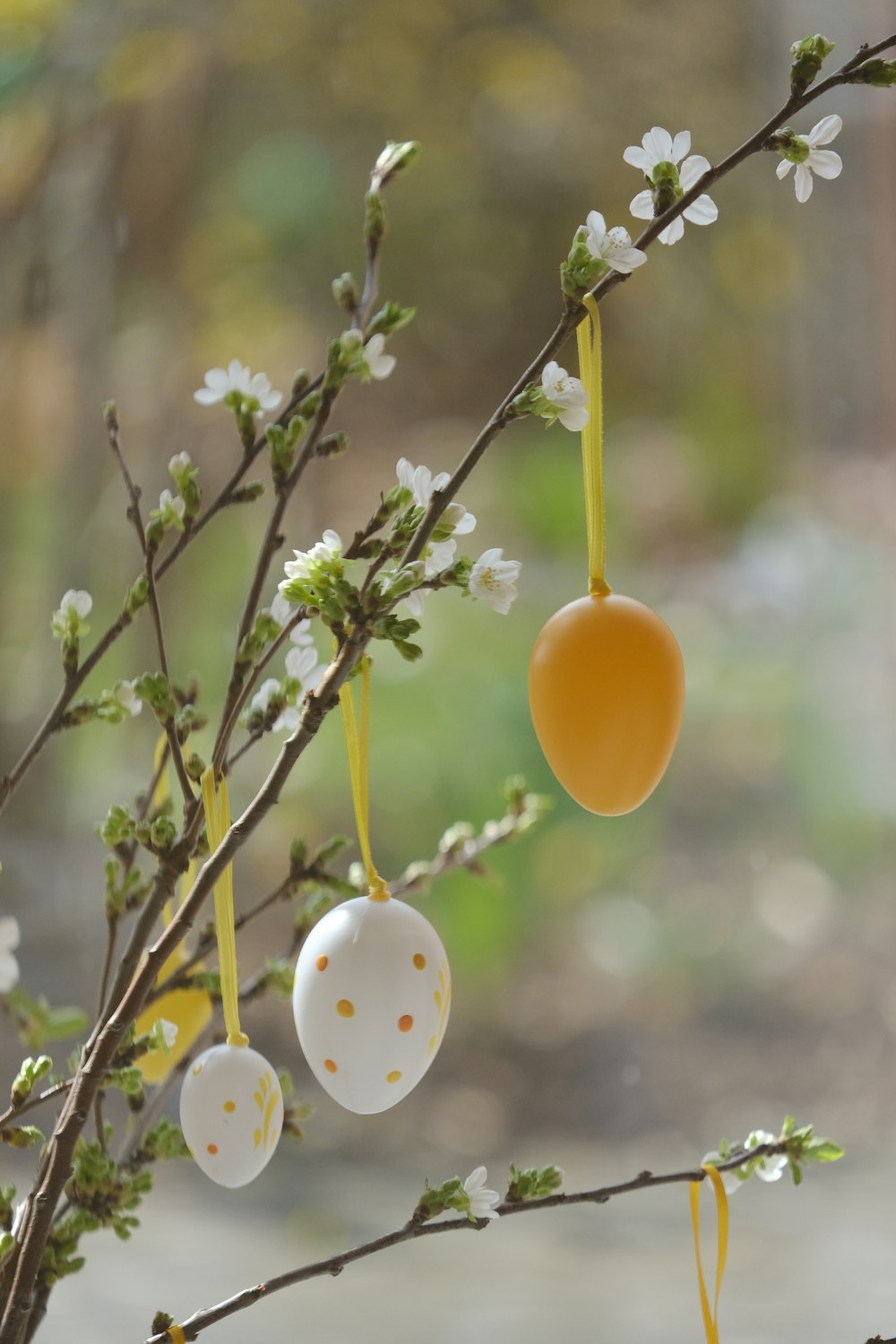 Frutti rotondi gialli e bianchi sul ramo marrone dell'albero