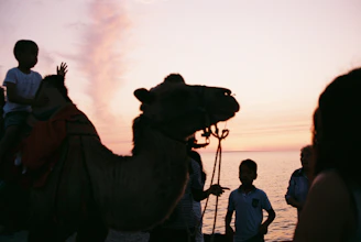 Group of travelers enjoying a sunset together in the Sahara desert with camels nearby.
