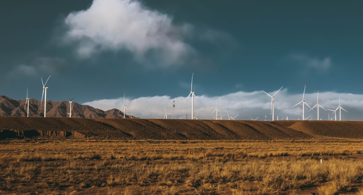 general related image for: Amazon Sustainability Accelerator Selects 11 Climate Technology Firms