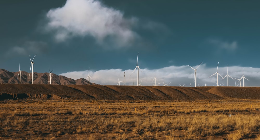 wind turbines on brown grass field under blue sky during daytime