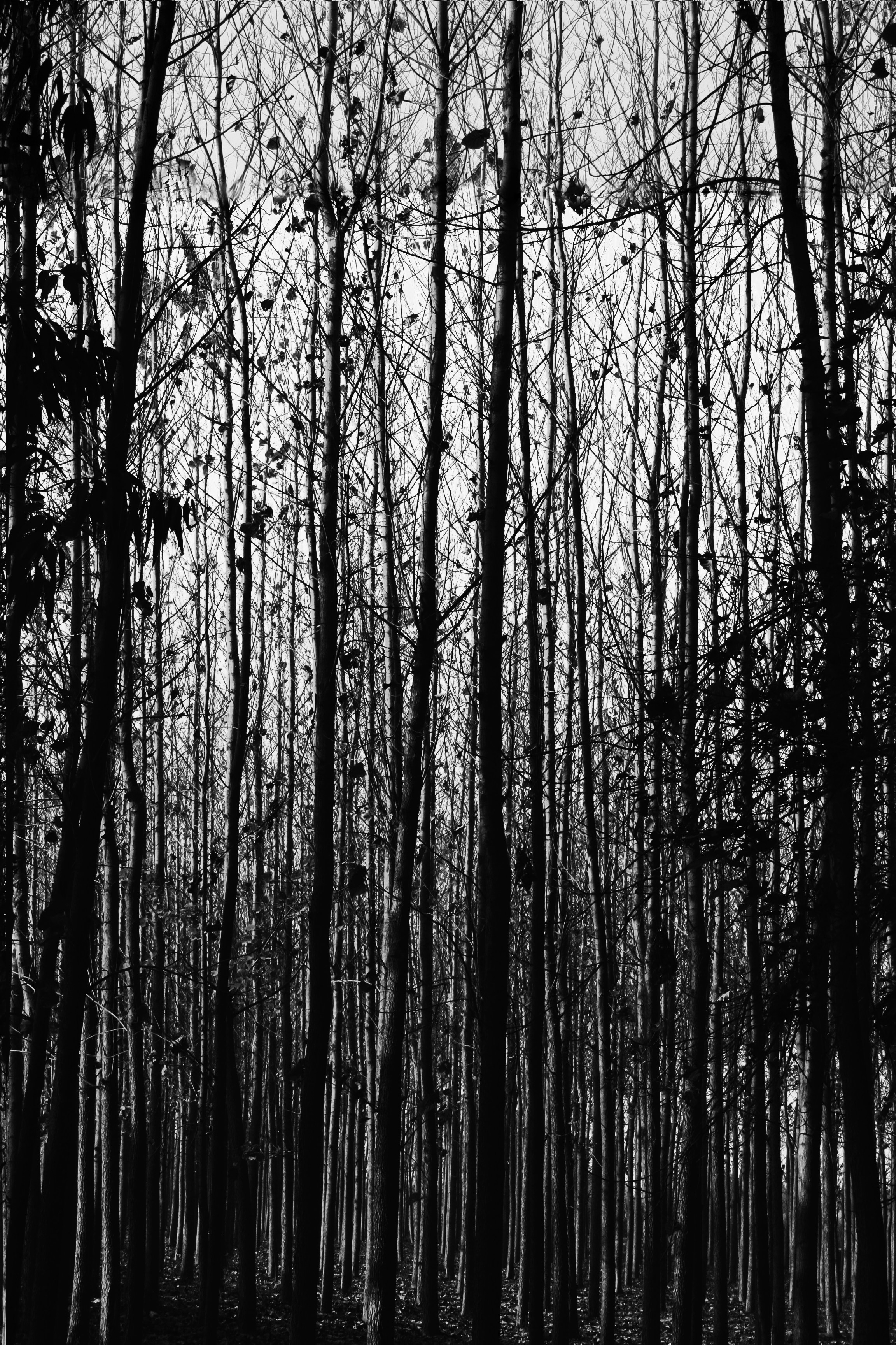 Photo by charanjeet_dhiman