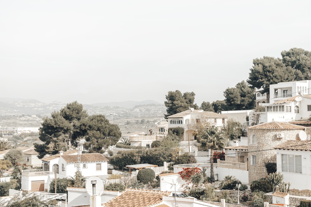 white and brown concrete houses near green trees during daytime