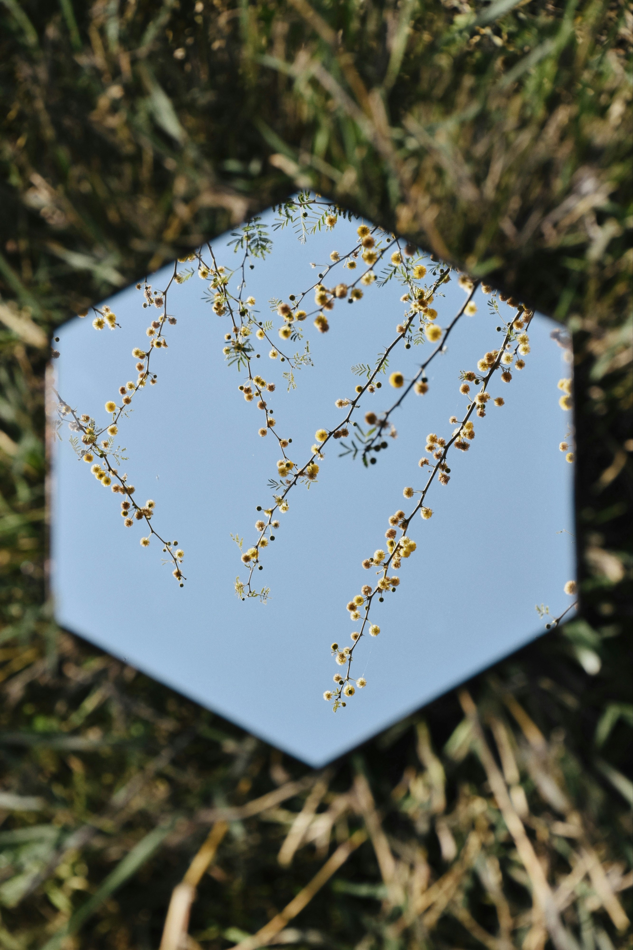 white and yellow floral box