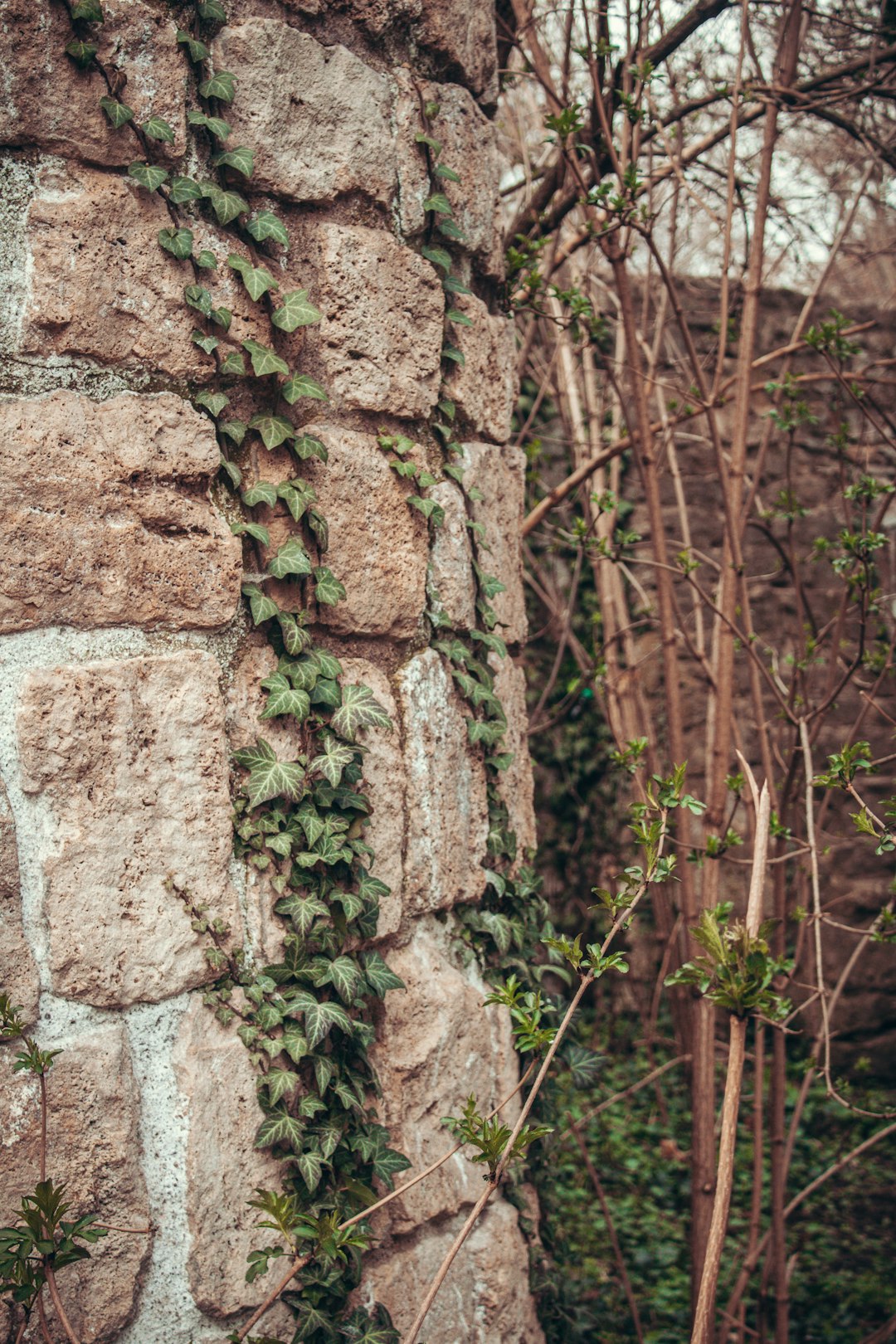 brown and gray concrete wall