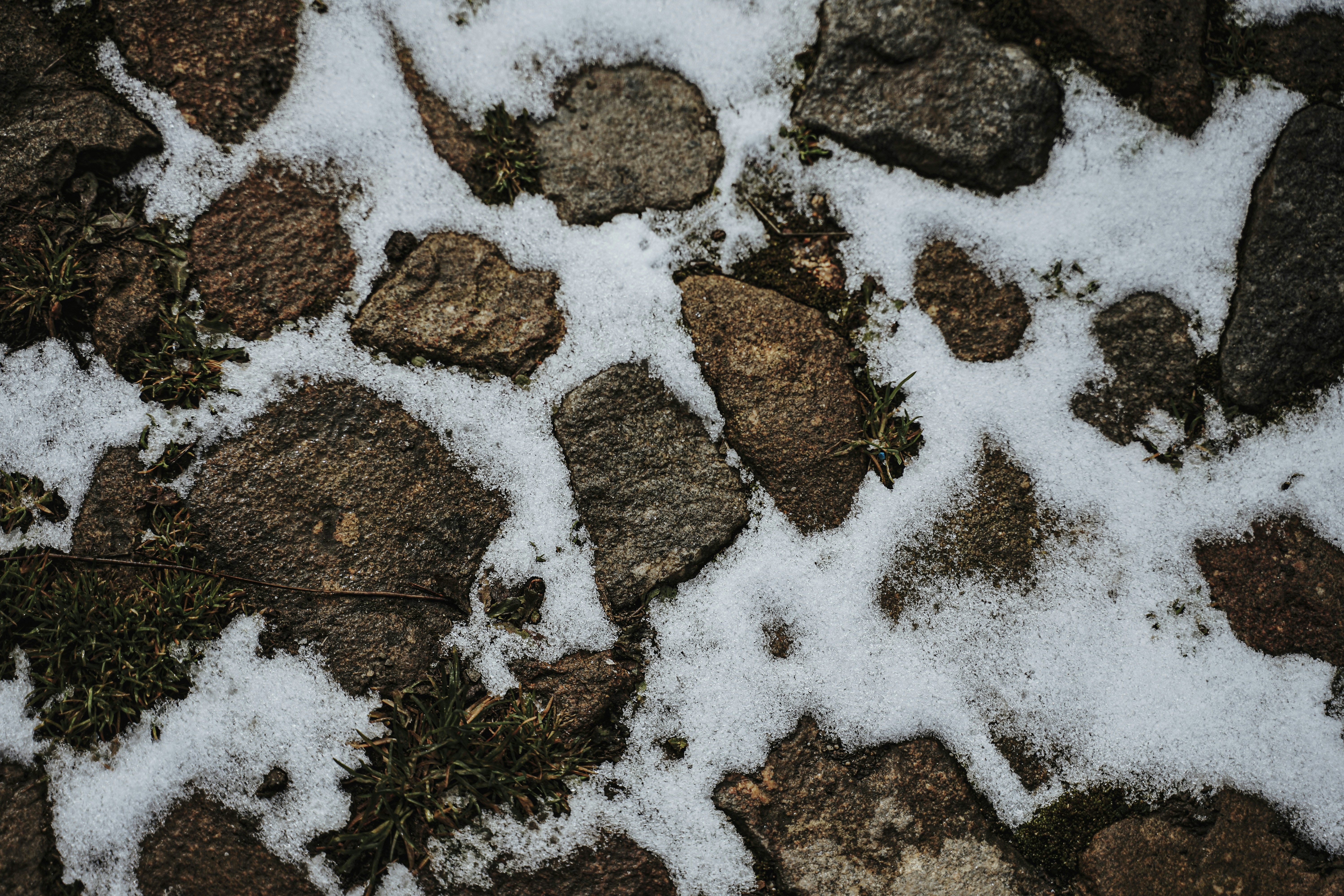 Photo by mryamazukino