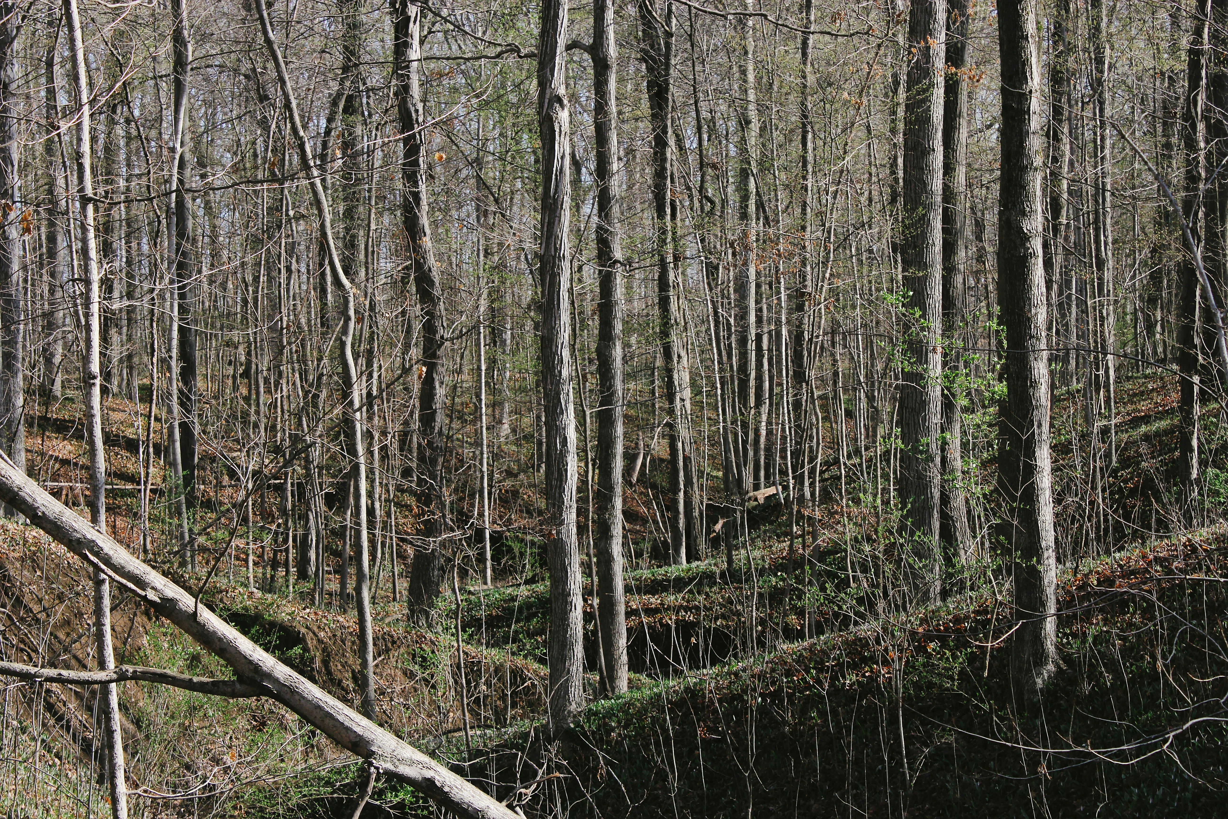 Photo by mrgreatheart