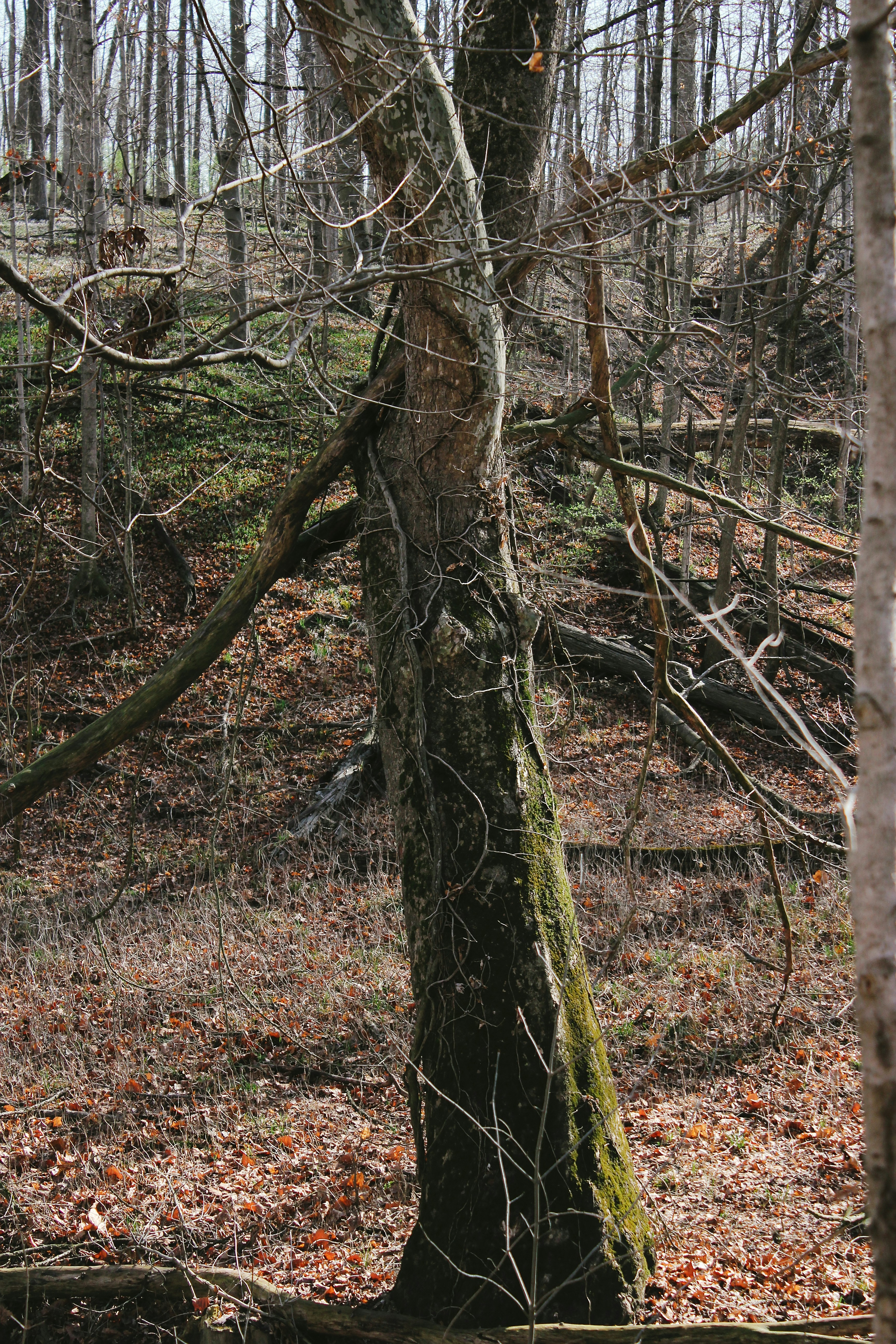 Photo by mrgreatheart