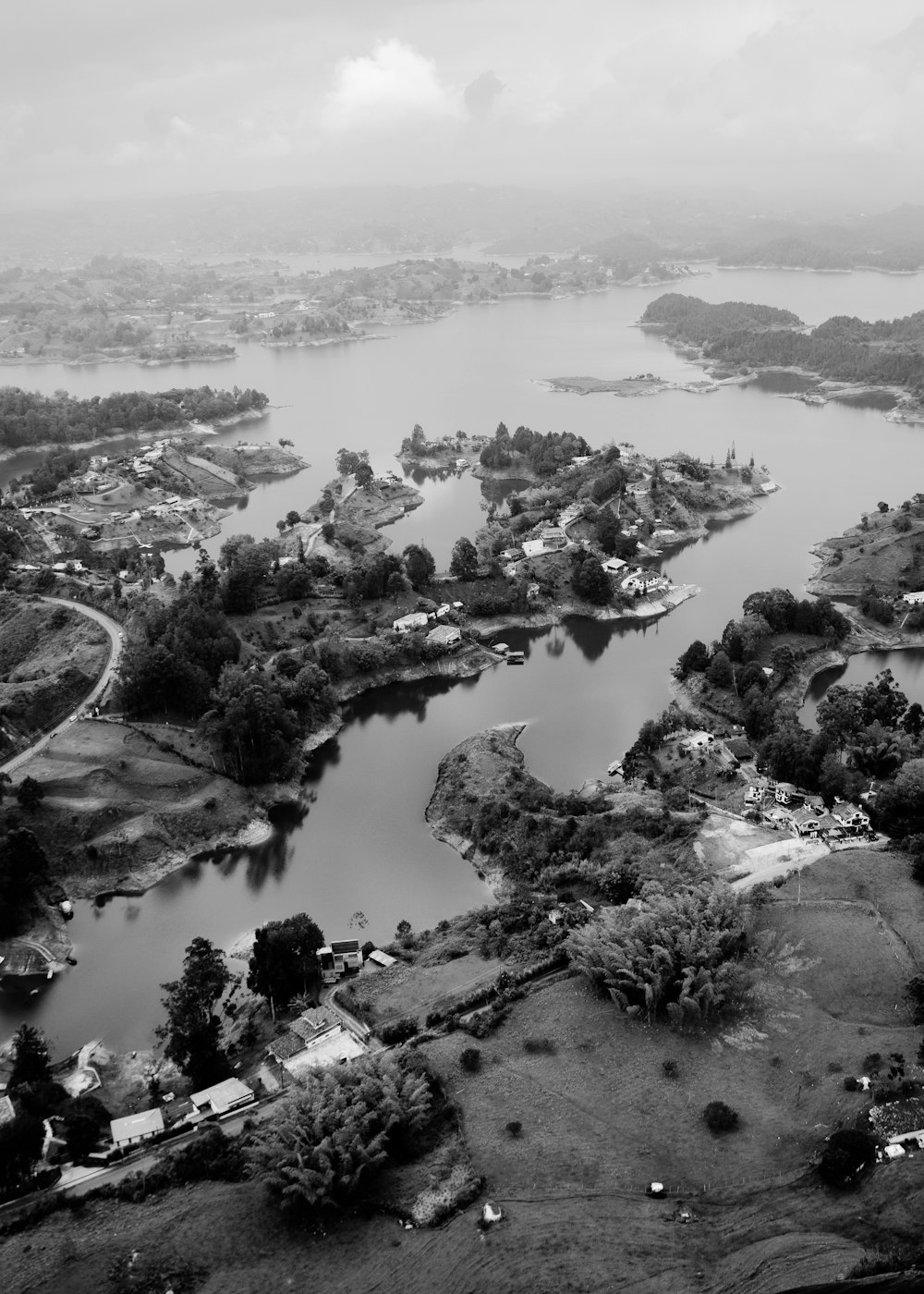 grayscale photo of lake surrounded by trees