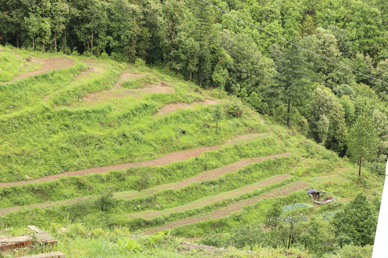 Best Budget Hotels in Ranikhet That Are Clean, Safe, and Worth the Price