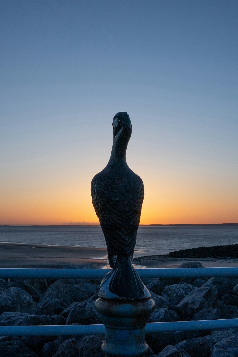 Canard noir sur le sable blanc près d’un plan d’eau pendant la journée