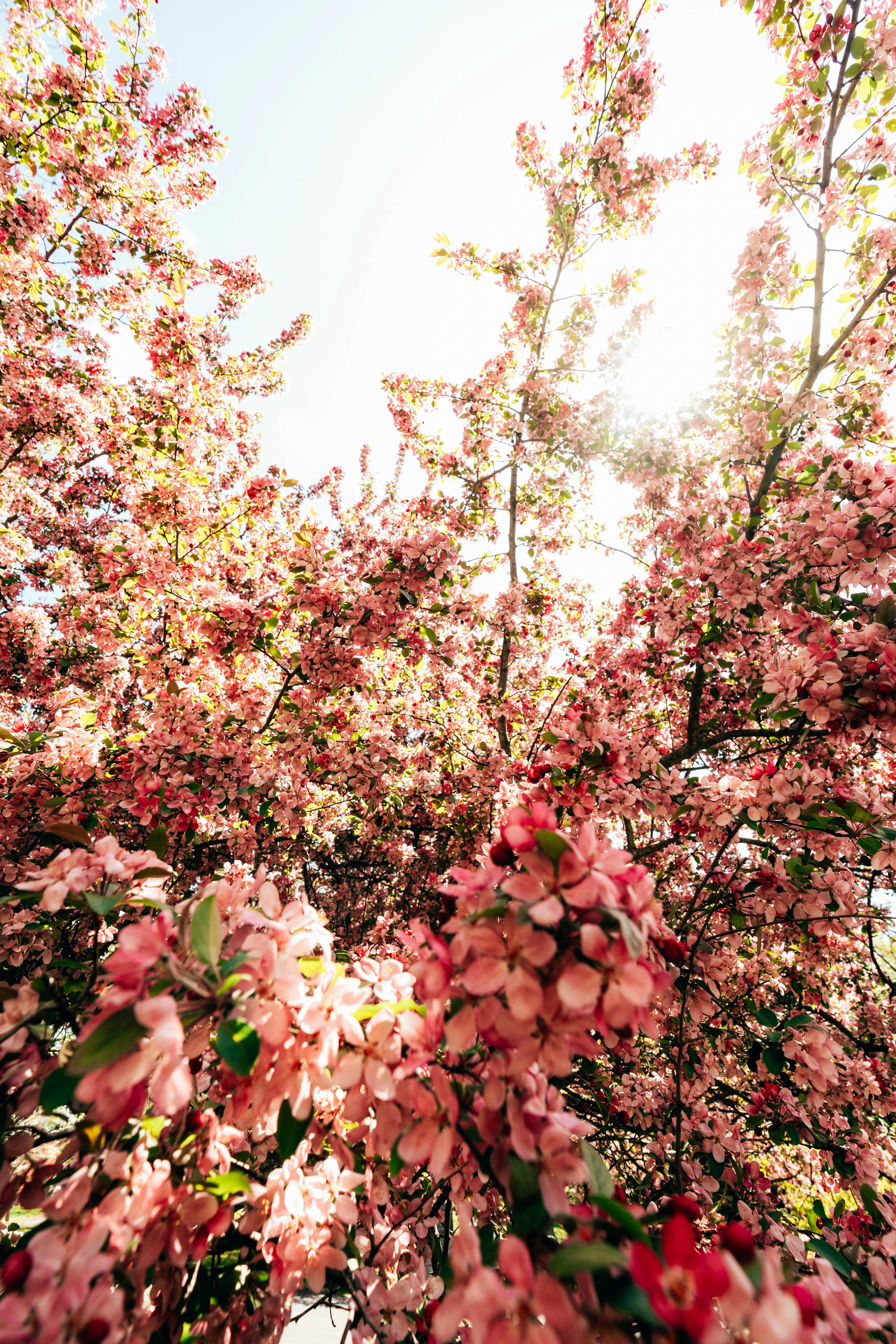 Photo by haroldwainwright