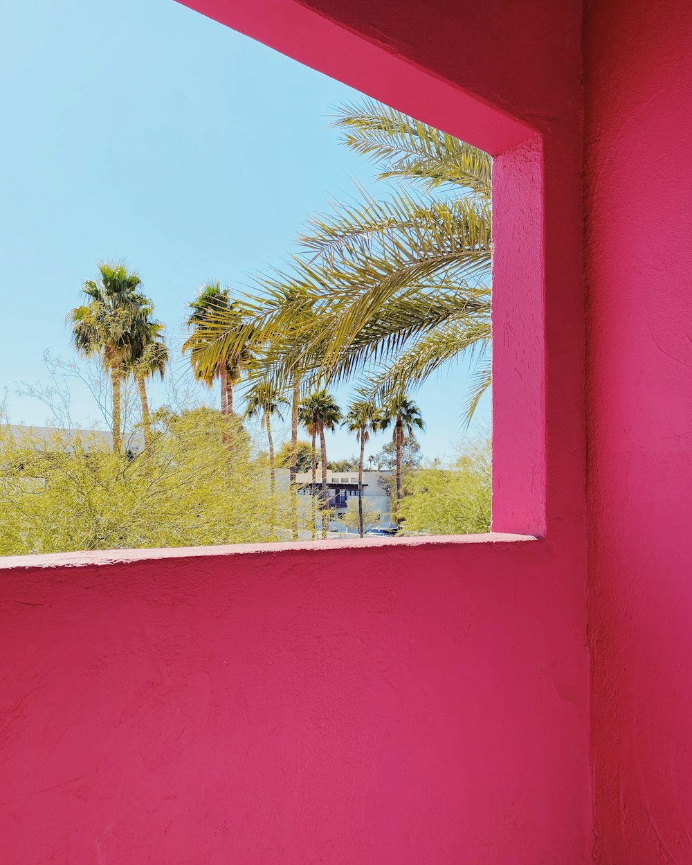 green palm trees near red concrete building during daytime