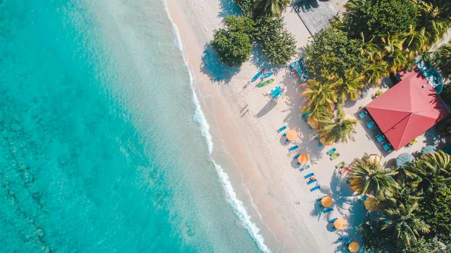 Aerial view of a tropical beach with palm trees