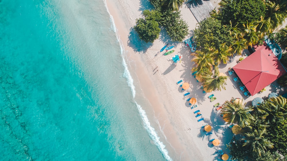 veduta aerea della spiaggia durante il giorno