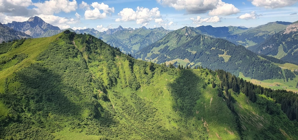 green trees on mountain under blue sky during daytime