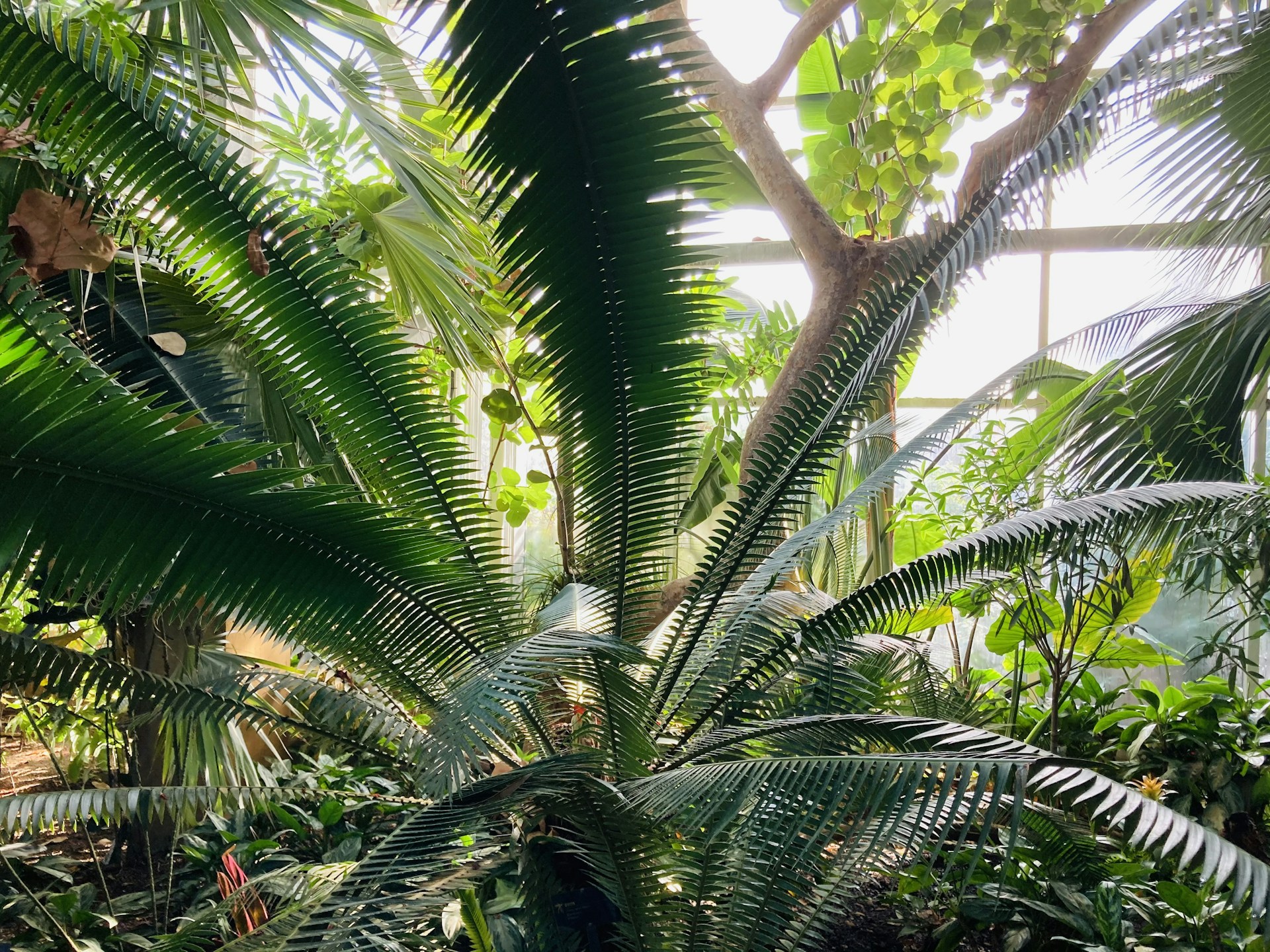 gray computer monitor