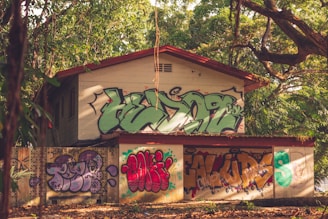 A small house is prominently decorated with colorful graffiti, featuring vibrant green, red, purple, and other hues. The house is set amid dense greenery, with trees and foliage surrounding it, adding a rustic and urban contrast. The graffiti on the walls includes various artistic designs and letters, demonstrating a street art style.