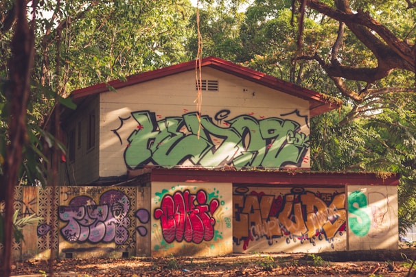 A small house is prominently decorated with colorful graffiti, featuring vibrant green, red, purple, and other hues. The house is set amid dense greenery, with trees and foliage surrounding it, adding a rustic and urban contrast. The graffiti on the walls includes various artistic designs and letters, demonstrating a street art style.