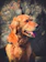 Close-up of a golden retriever with a shiny, well-groomed coat basking in sunlight.