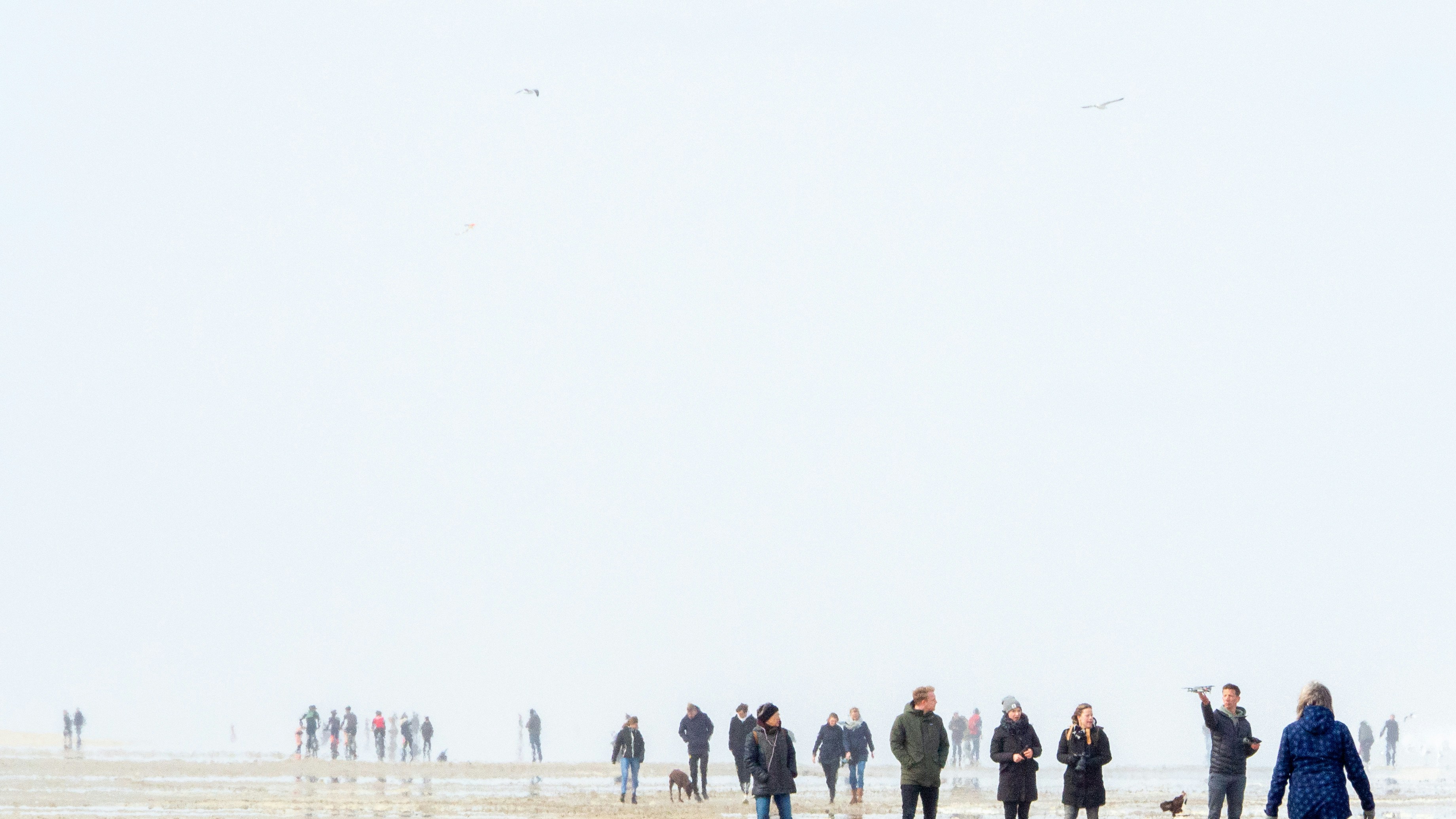 Photo by wimvanteinde