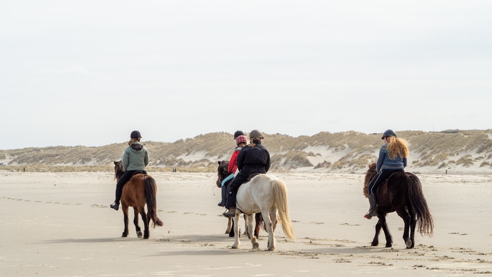 man in blue jacket riding white horse on white sand during daytime