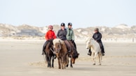 Four people wearing helmets are riding horses along a sandy beach, with dunes visible in the background. The riders are dressed in casual riding attire and appear to be enjoying a leisurely ride. The setting is calm and expansive.