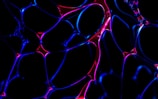 An abstract pattern of interconnected shapes resembling cellular structures, with bright neon colors. The shapes have a web-like appearance and are highlighted in vibrant blue and pink against a dark background, creating a striking contrast.