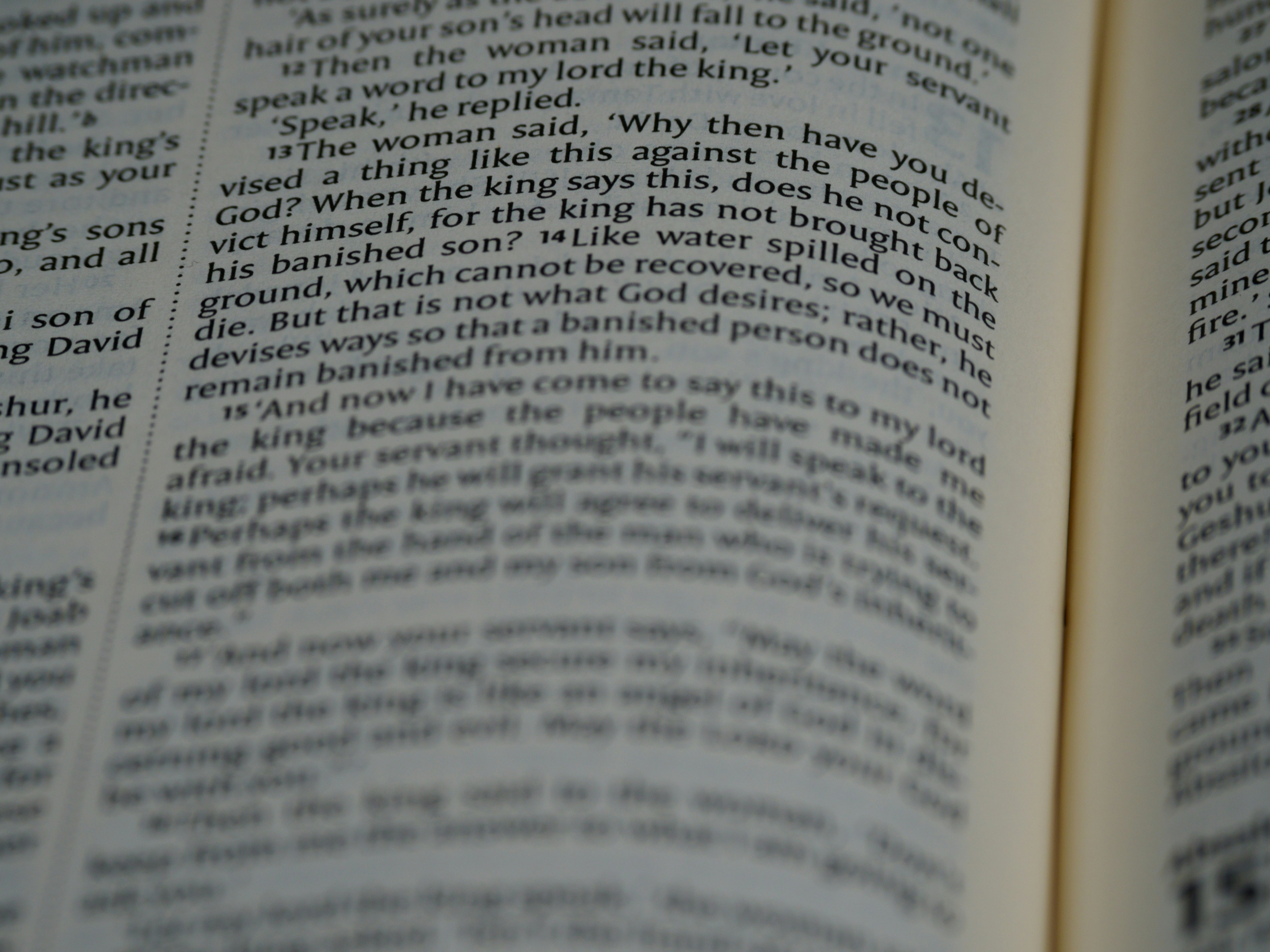 Photo by brett_jordan