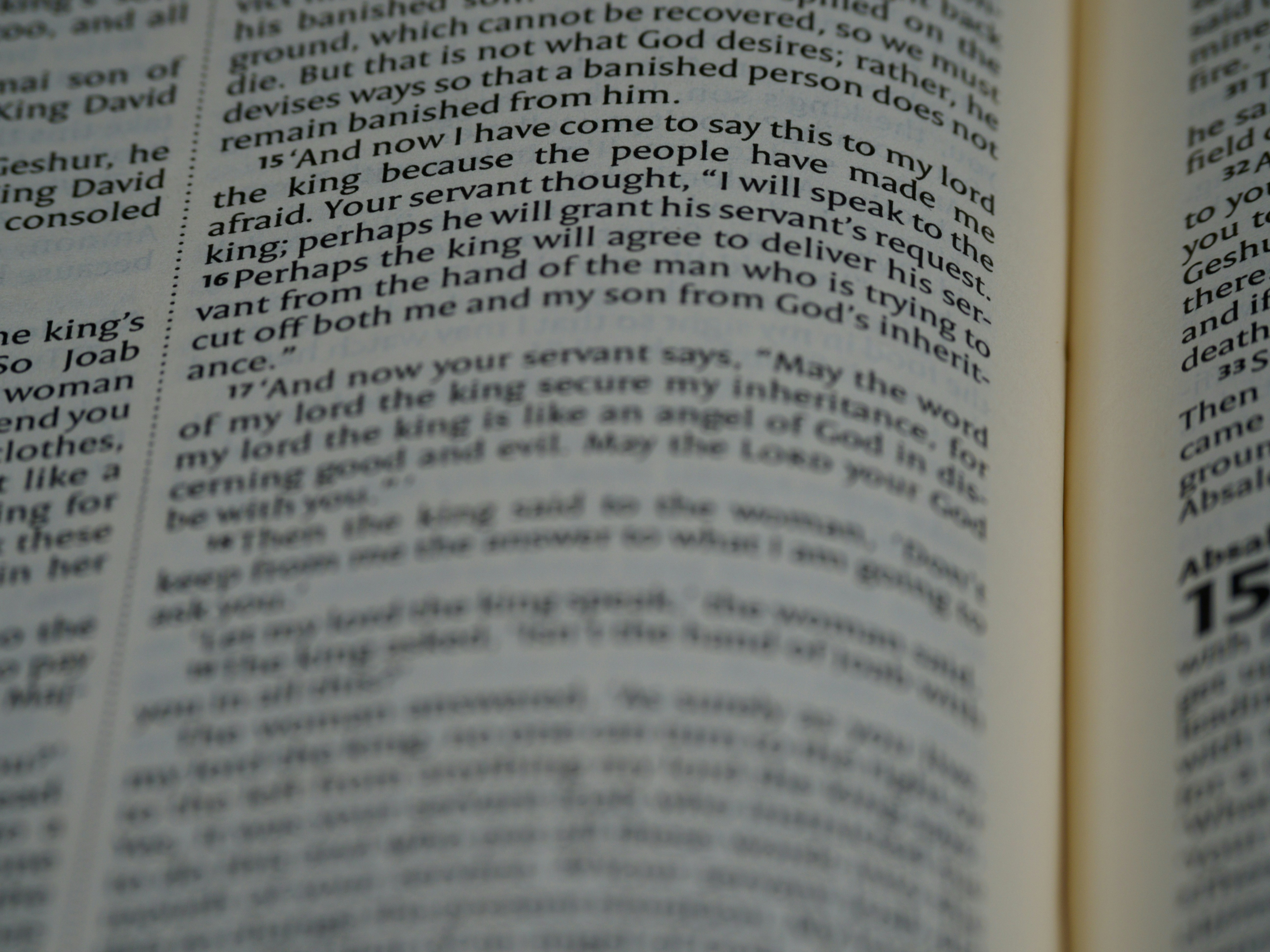 Photo by brett_jordan