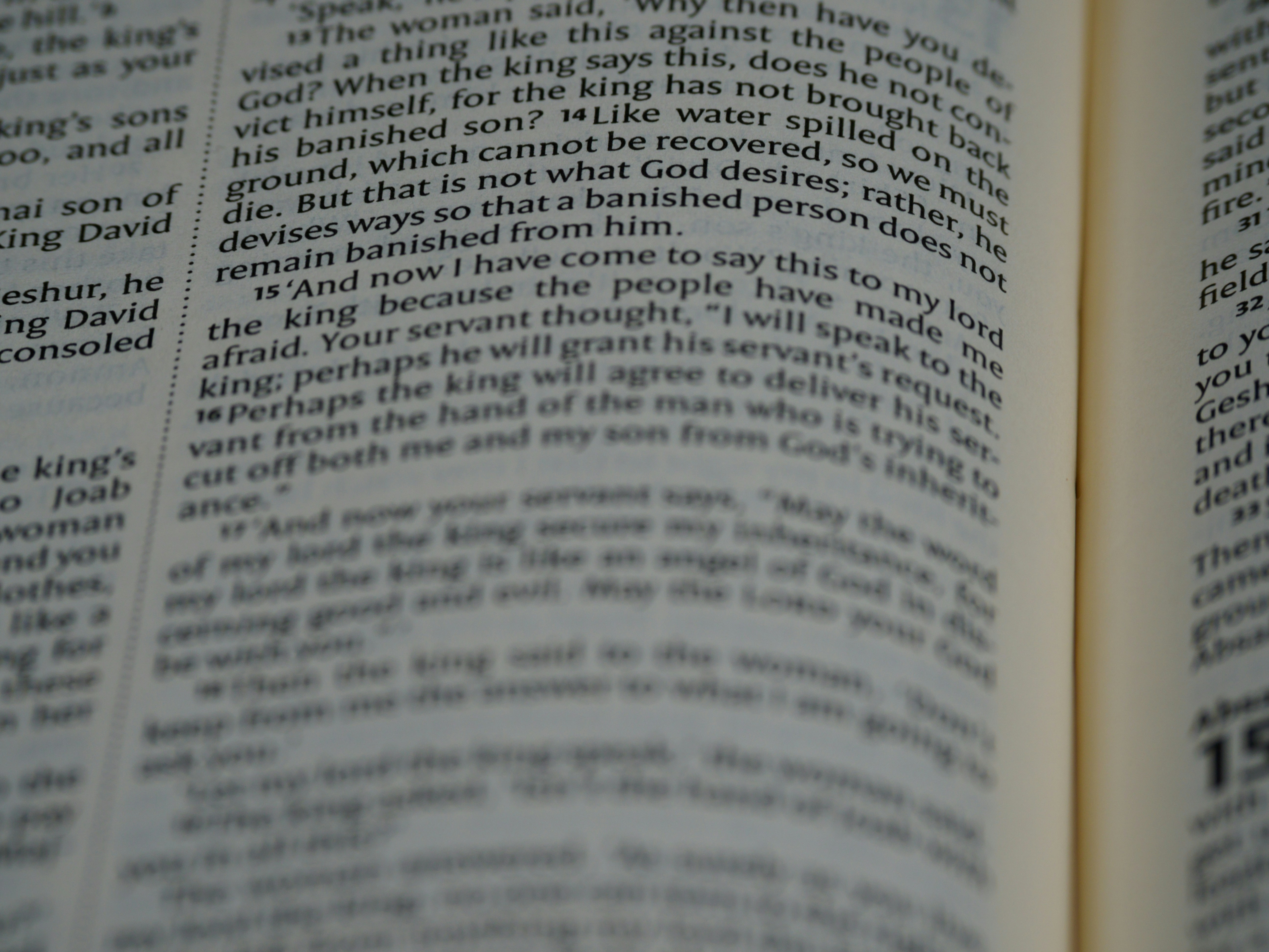 Photo by brett_jordan