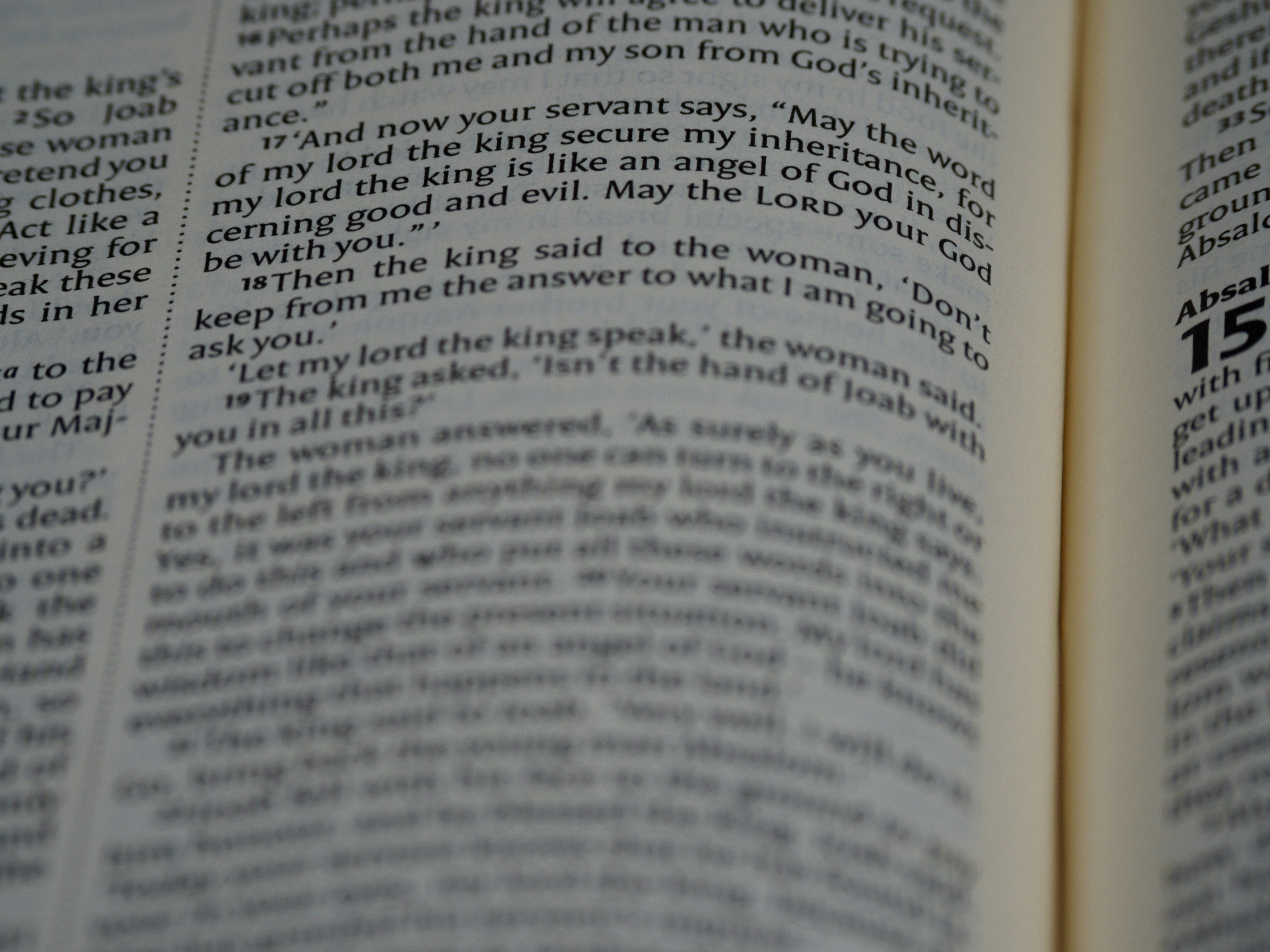 close up, bokeh, macro, blur, blurred background, close focus, bible, old testament, 2 samuel, samuel, book of samuel, gad, nathan, covenant, law, Nevi'im, prophets, Deuteronomistic history, rabbinic literature, shavuot, christian, judaism, history, text, reading, bible study, devotions, text, NIV, New International Version, type, typography, canon, christianity, holy scripture, holy bible, scripture,
