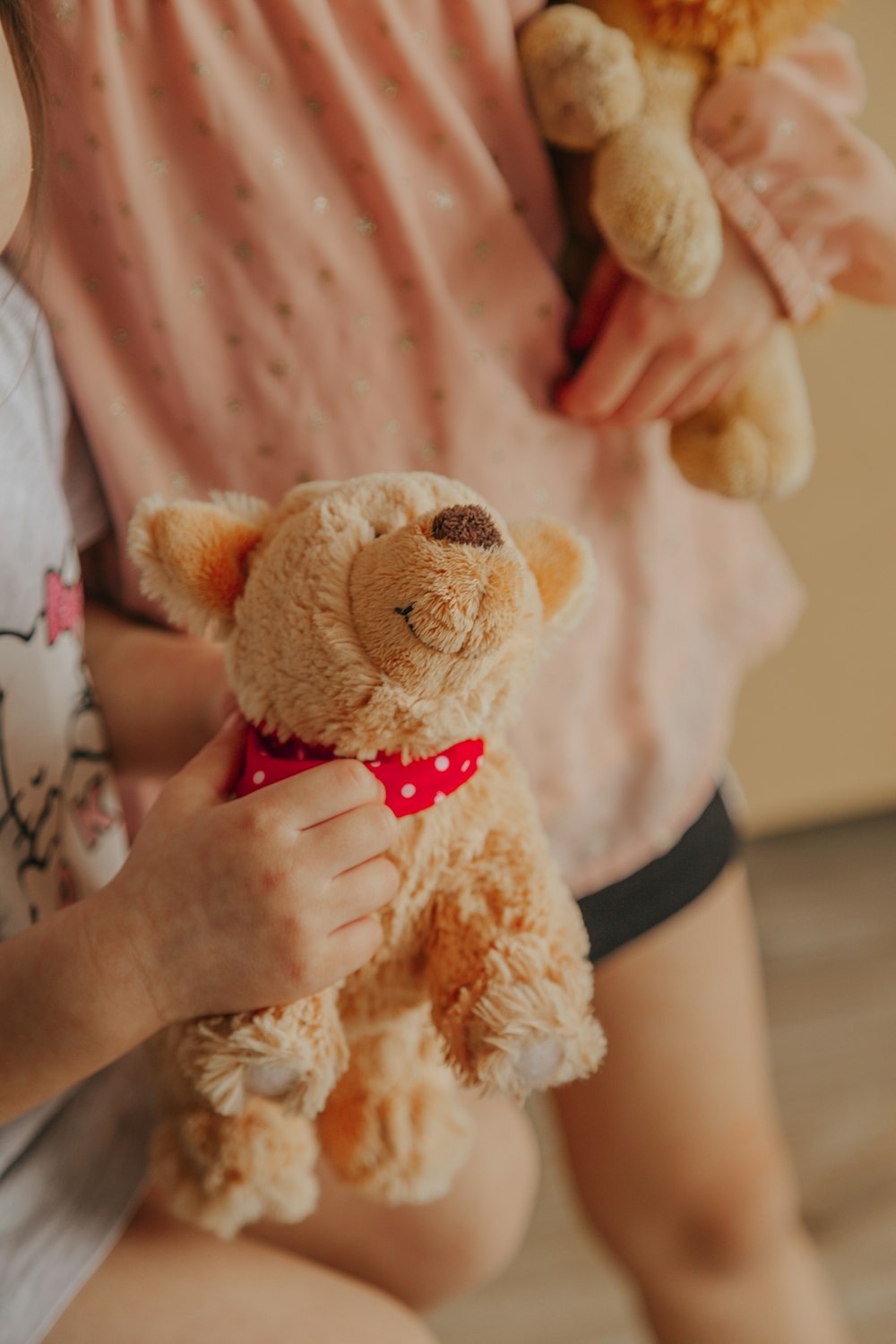 brown bear plush toy on persons hand